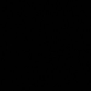 Meet your Posher, Abimael